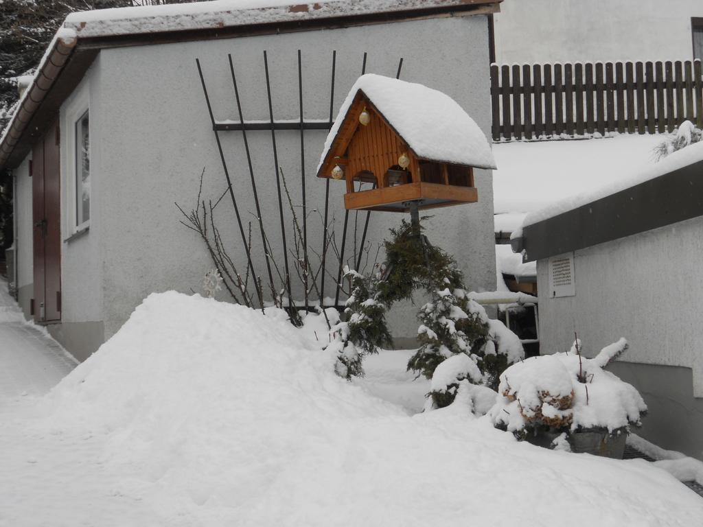 Ferienhaus Zittau Oberlausitz & Ferienwohnung Am Hamann Berg Extérieur photo