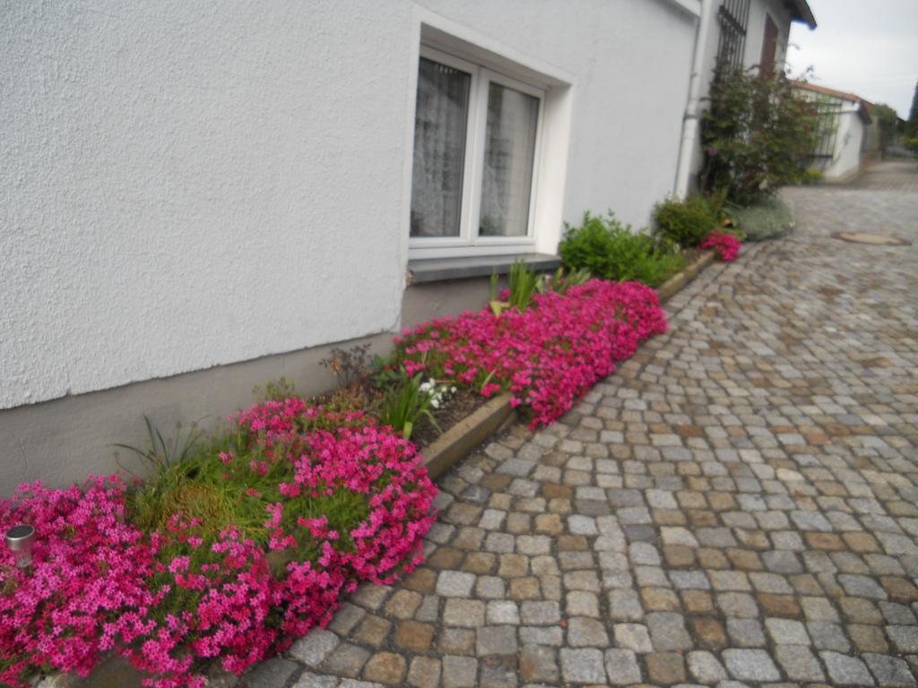 Ferienhaus Zittau Oberlausitz & Ferienwohnung Am Hamann Berg Extérieur photo